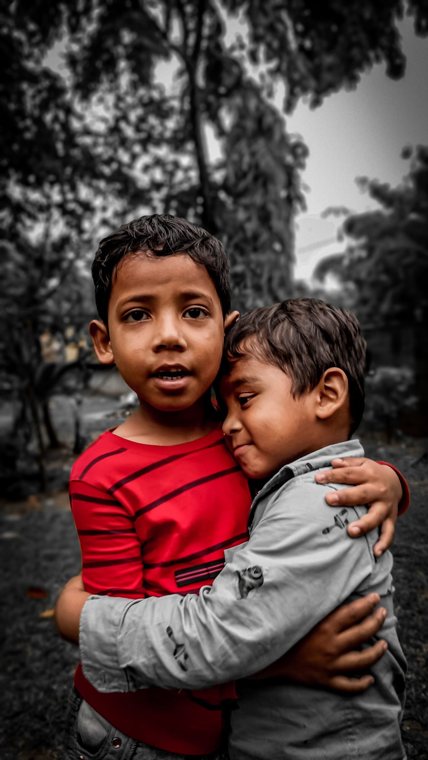 Humanitarian community and human rights work